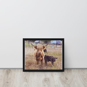Highland Cow Framed canvas Wall Art | Country Farm Highland Cow Picture Wall Art