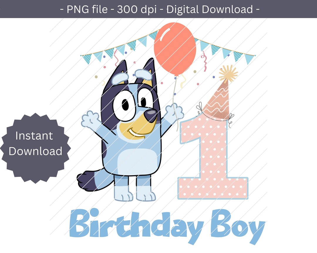 Bluey 1st Birthday Iron On Bluey Png Bluey Iron On Graphic Etsy UK