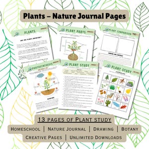 Può includere: Una raccolta di 13 pagine di studio sulle piante, con argomenti come la fotosintesi, le parti delle piante e il confronto delle piante. Progettato per la scuola a casa e il diario della natura, con il testo "Plants - Nature Journal Pages".