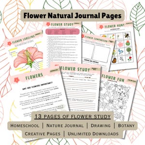 Pode incluir: Uma coleção de páginas de estudo de flores imprimíveis para educação em casa, diário da natureza, desenho e botânica. As páginas incluem rotulagem de flores, comparação e atividades divertidas. O texto diz "Flower Natural Journal Pages" e "13 Pages of Flower Study".
