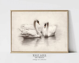 Vintage Swans Sketch | West Coast Wall Art Print | Wildlife Digital PRINTABLE Gift Downloadable California Tropical | Birds | Animals | Love
