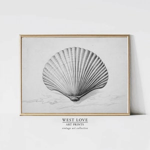 Vintage SeaShell Sketch | Minimalist Soft Coastal Landscape | Digital PRINTABLE Gift Downloadable California | Summer | West Love Art Prints