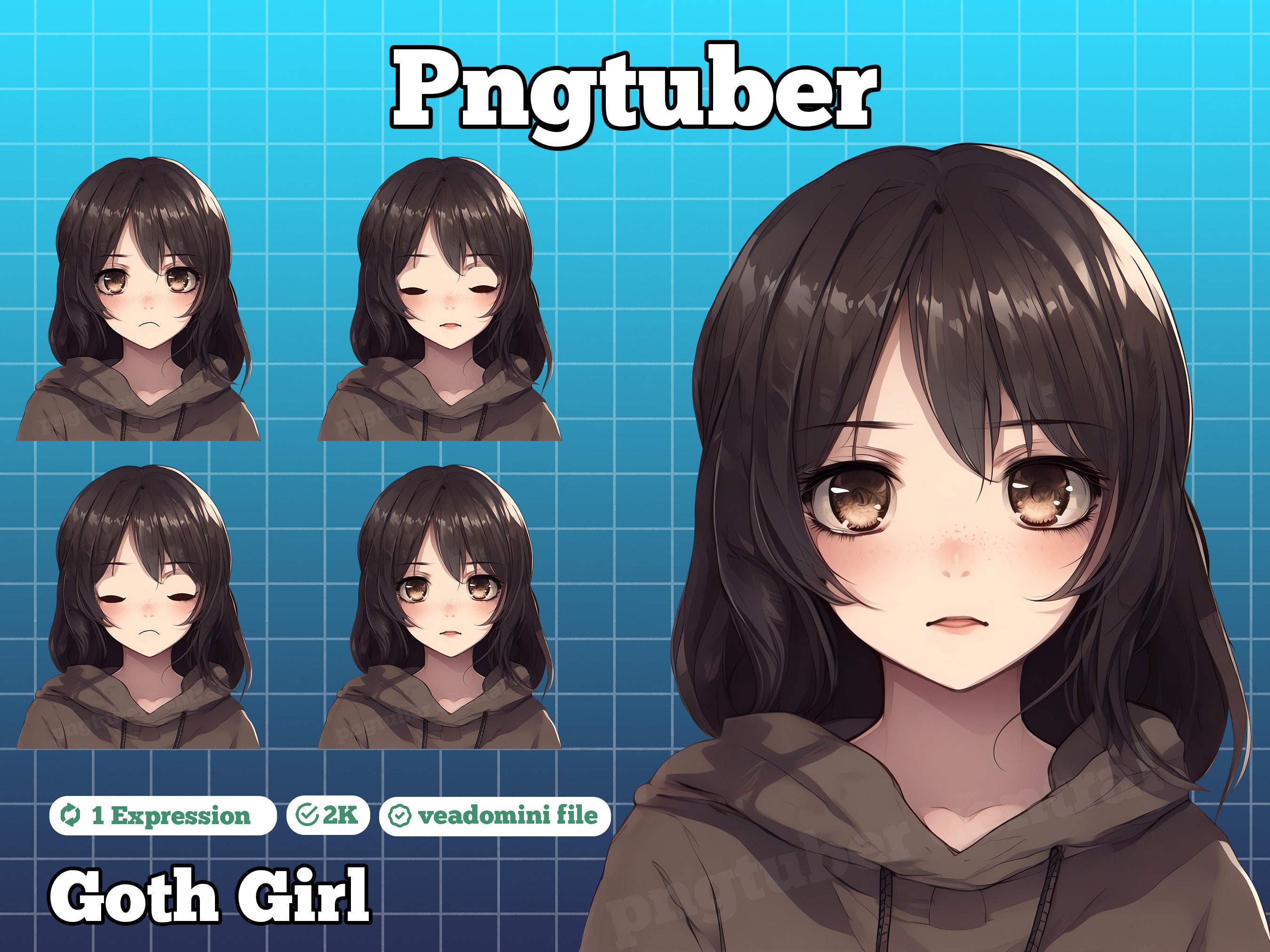 Pngtuber Pngtuber Premade Png Tuber Pngtuber Overlay Etsy UK