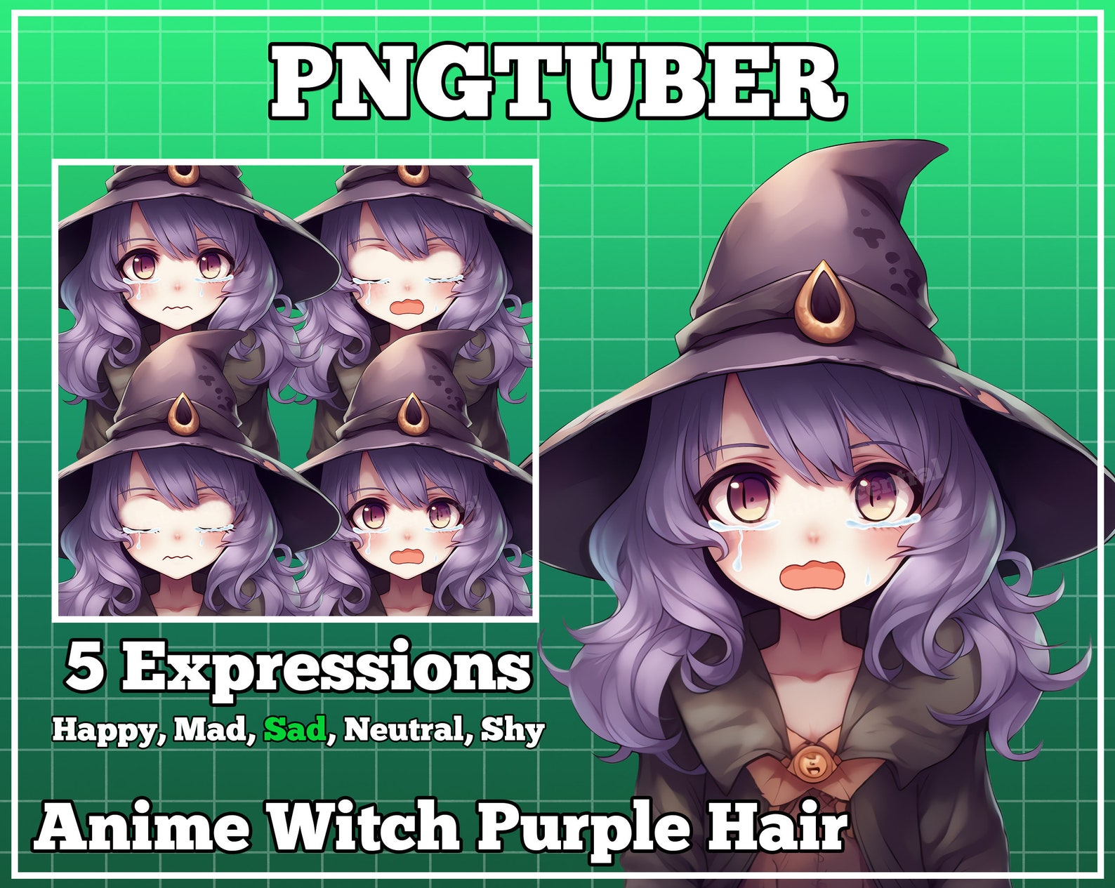 Pngtuber Pngtuber Premade Png Tuber Pngtuber Overlay Etsy Canada