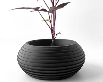 Modern Indoor Planter Pot with Drainage | Unique Succulent and Flower Container | Cute Home and Office Decor | Housewarming Gift |