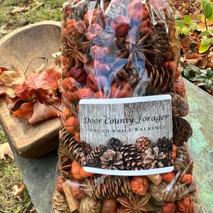 May include: A clear plastic bag filled with a mix of fall-themed potpourri. The bag has a label that reads "Door County Forager FOUND WHILE WALKING". The potpourri includes pinecones, star anise, and small orange pumpkins.