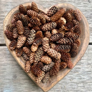 May include: A heart-shaped wooden bowl filled with a collection of small, brown pine cones.