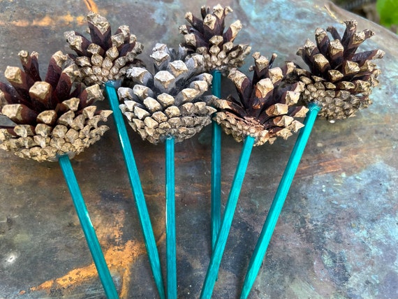 4 Pine Cone Picks, Set of 6, Natural Floral, Door County Foraged