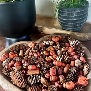 Pumpkin Spice, Fall Pine Cone Potpourri, Autumn Bowl Filler, Mini Pumpkins, Putka Pods, Cinnamon Sticks, Star Anise, Samhain Witchy Decor