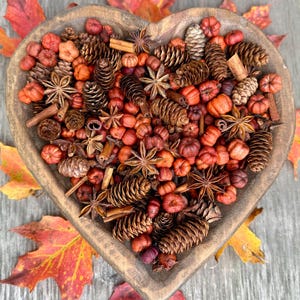 Pumpkin Spice, 8 Cups Fall Pine Cone Potpourri, Autumn Bowl Filler, Mini Pumpkins, Putka Pods, Cinnamon Sticks, Star Anise, Samhain Witchy