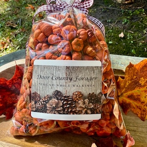 May include: A clear cellophane bag filled with small, orange pumpkins, tied with a burgundy and white checkered ribbon. The label reads "Door County Forager" and "Found While Walking" with a graphic of pinecones.