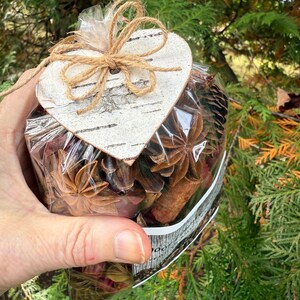 May include: A clear cellophane bag filled with dried botanicals, including star anise and cinnamon sticks, tied with a twine bow and a birch heart-shaped tag. The bag is held against a backdrop of green foliage.