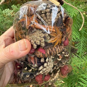 May include: A clear cellophane bag filled with a mix of natural potpourri. The contents include pine cones, star anise, cinnamon sticks, and dried red berries. The bag is tied with twine.