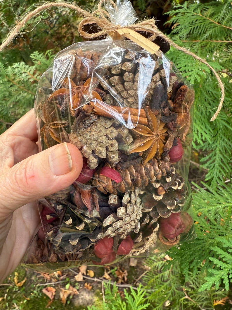 May include: A clear cellophane bag filled with a mix of natural potpourri. The contents include pine cones, star anise, cinnamon sticks, and dried red berries. The bag is tied with twine.