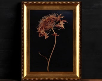 Flor de mal humor oscuro, arte de pared floral gótico, pintura botánica, decoración floral oscura, descarga digital, arte de pared de academia oscura imprimible