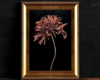 Flor de mal humor oscuro, arte de pared floral gótico, pintura botánica, decoración floral oscura, descarga digital, arte de pared de academia oscura imprimible