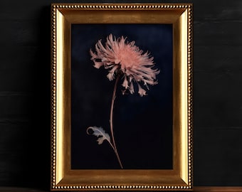 Flor de mal humor oscuro, arte de pared floral gótico, pintura botánica, decoración floral oscura, descarga digital, arte de pared de academia oscura imprimible