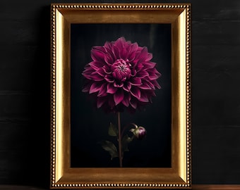 May include: A framed photograph of a single, vibrant magenta dahlia flower with a bud on a dark background.