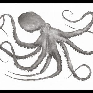 Freo Occy - Australian Octopus Gyotaku Wall Art - Nero su bianco - Riproduzione di stampa su carta Fine Art. Arte murale tradizionale oceanica.
