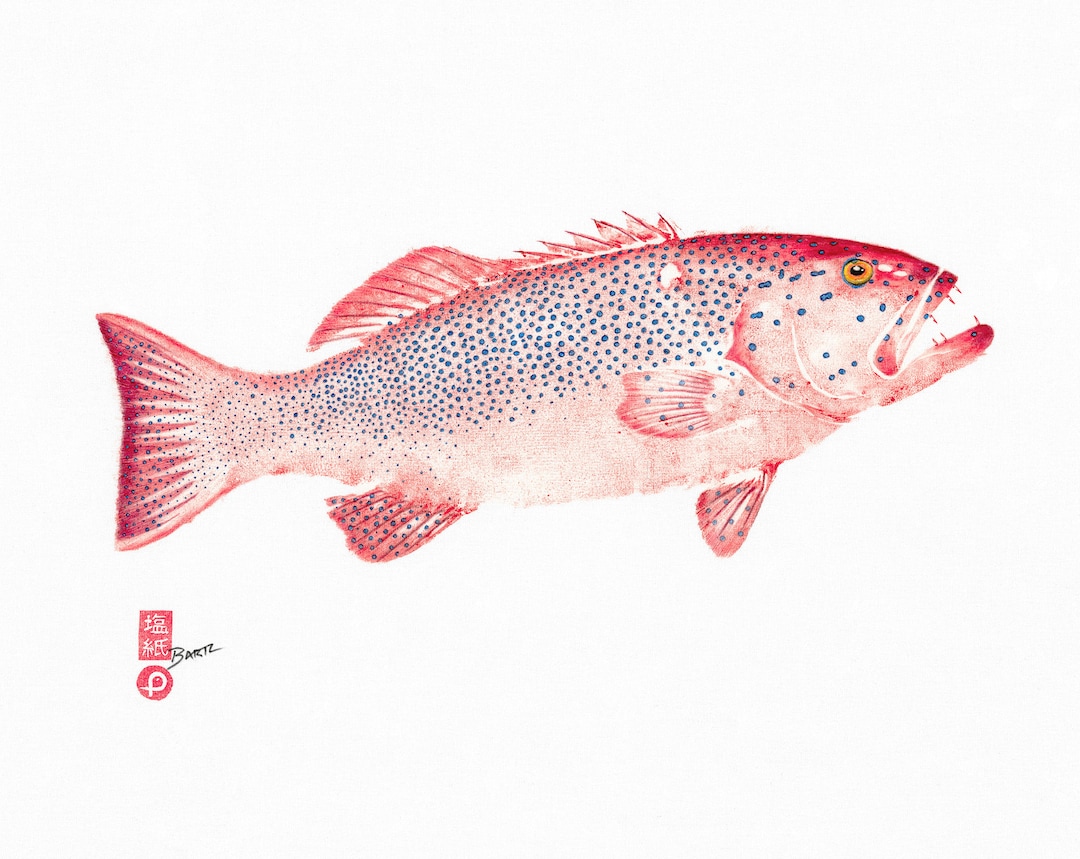 Bar Cheek Coral Trout Gyotaku Print Reproduction Cotton Etsy