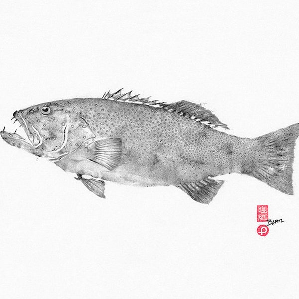 Coral Trout Art Etsy