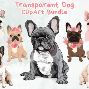 Bulldog Francês Clipart, Bulldog Francês PNG, Imagens de Filhotes, Clipart de Cachorro Fofo, Aquarela de Cachorro, Bulldog Francês PNG,