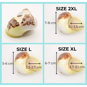 May include: Four images of decorative seashells in various sizes. The shells are cream-colored with brown and yellow accents. Measurements are provided for each shell: Size 2XL (7-8 cm x 3.1-3.5 cm), Size XL (6-7 cm x 2.7-3.1 cm), and Size L (5-6 cm x 2.3-2.7 cm).
