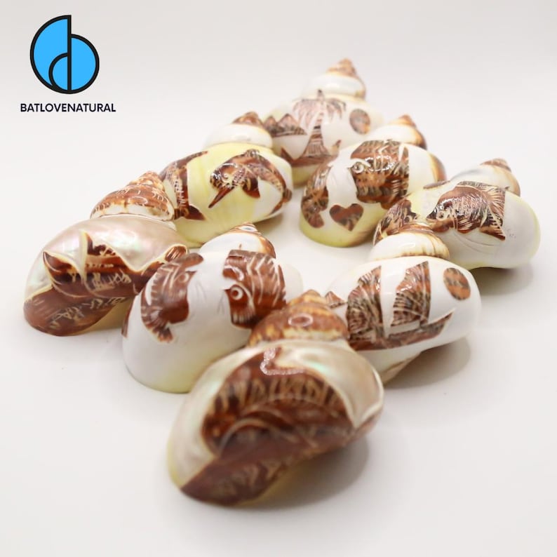 May include: A collection of decorative seashells with brown and white painted designs. The designs include images of fish, boats, and the Eiffel Tower. The shells have a pearlescent sheen and are arranged on a white surface.