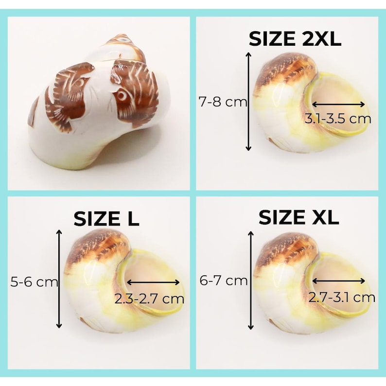May include: A collection of decorative ceramic seashells in various sizes, each with a unique brown and white pattern. The sizes are labeled as L, XL, and 2XL, with measurements in centimeters. The seashells range from 5 cm to 8 cm in height.