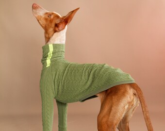 Olive Jumper with cropped legs for Iggy, Whippet, Podenco, Greyhound & Italian Greyhound,dog clothes, clothes for dog