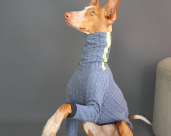 Blue Jumper with cropped legs for Iggy, Whippet, Podenco, Greyhound & Italian Greyhound, dog clothes, clothes for dog