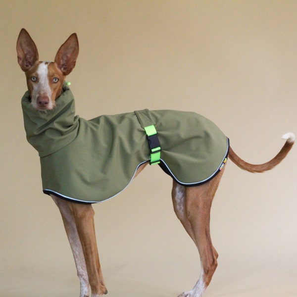 Olivfarbene wasserdichte Softshelljacke, Regenmantel für Whippet, Podenco, Greyhound & italienisches Windspiel, Hundebekleidung, Kleidung für Hund, Suit