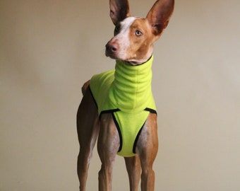 Fleece sweater for Iggy, Whippet, Podenco, Greyhound & Italian Greyhound, dog clothes, pullover mantel, lévrier