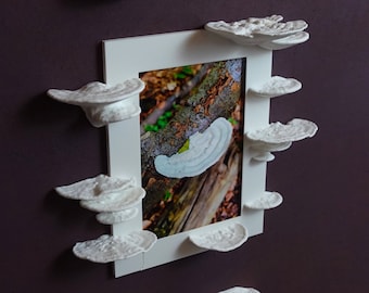 Moldura de cogumelo - The Trametes Fungus, Moldura de cogumelo para fotos, Goblincore, Fairycore, Boho Chic Cottagecore, Decoração de parede rústica para casa