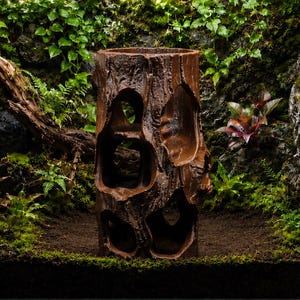 Multilevel Log Hideout – 3D Printed Woodland Cave, Reptile Amphibian Terrarium Decor