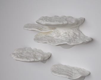Mushroom Floating Shelf - The Ganoderma Applanatum, Fungi wall shelf, Goblincore, Fairycore, Cottagecore, Nature Rustic home wall decor
