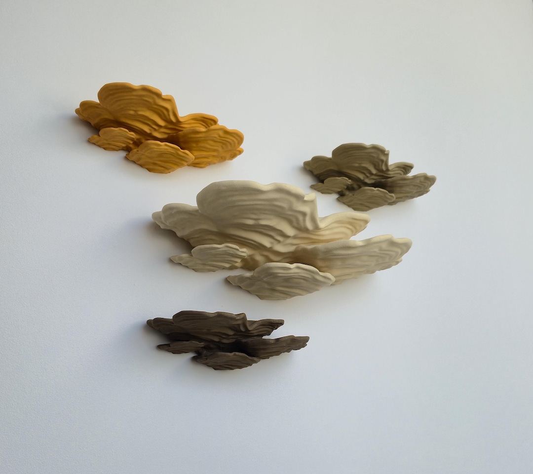 Woodlike Mushroom Floating Shelf - the Ostrea Fungus • Pla-wood 3D ...