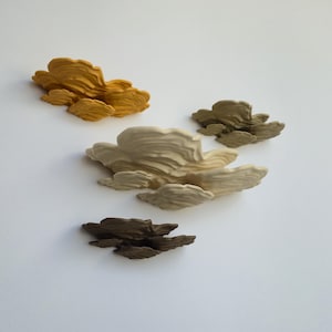 Woodlike Mushroom Floating Shelf - The Ostrea Fungus • PLA-Wood 3D Print • Fungi Wall Shelf • Nature Decoration • Goblincore • Cottagecore