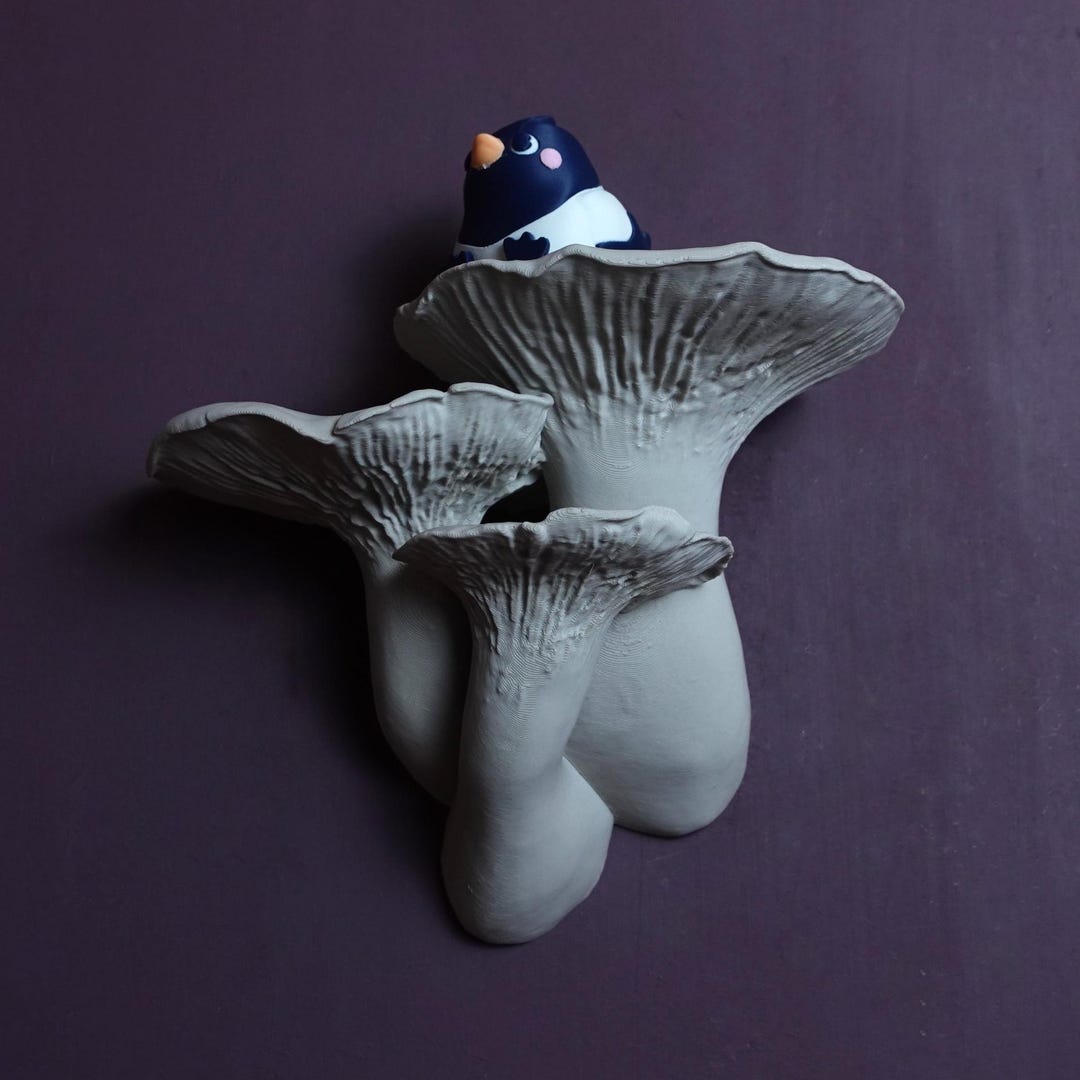 Mushroom Floating Shelf - the Pleurotus Eryngii, Fungi Wall Shelf ...