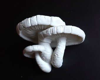 Mushroom Floating Shelf - The Edodes Fungus, Fungi wall shelf, Goblincore, Fairycore, Boho Chic, Cottagecore, Nature Rustic home wall decor
