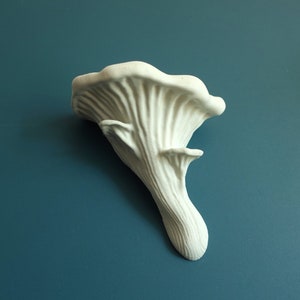 Mushroom Floating Shelf - The Oyster Fungus, Fungi wall shelf, Goblincore, Fairycore, Boho Chic, Cottagecore, Nature Rustic home wall decor