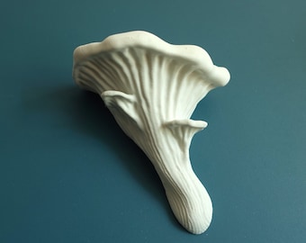 Mushroom Floating Shelf - The Oyster Fungus, Fungi wall shelf, Goblincore, Fairycore, Boho Chic, Cottagecore, Nature Rustic home wall decor
