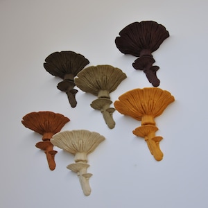 PLA Wood Mushroom Floating Shelf - The Amanita Fungus, Fungi wall shelf, Fairycore, Boho Chic, Cottagecore, Nature Rustic home wall decor