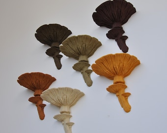 PLA Holz Pilz Regal - The Amanita Fungus, Fungi Wandregal, Fairycore, Boho Chic, Cottagecore, Natur Rustikale Wanddekoration