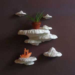Mushroom Floating Shelf - The Pinicula Fungus, Fungi wall shelf, Goblincore, Fairycore, Boho Chic, Cottagecore, Nature Rustic wall decor