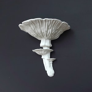 Mushroom Floating Shelf - The Amanita Fungus, Fungi wall shelf, Goblincore, Fairycore, Boho Chic, Cottagecore, Nature Rustic home wall decor