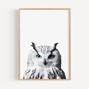 White Owl Print, Minimalist Owl Poster, Download, Animal Art, Scandinavian Wall Art, Blue Eyed Owl Print, Hedwig, Bird Wall Art, Bird Prints