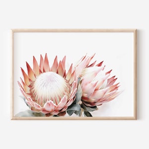 Protea Print, Floral Wall Art, Printable Botanical Poster, Digital Download, Australian Native Photography, Pink Flower Décor, Native Print