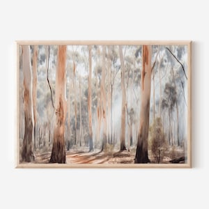 Puede incluir: Una fotografía de un bosque con árboles altos y delgados de corteza lisa y blanca. Los árboles están iluminados por la luz del sol que se filtra a través de las ramas, creando una atmósfera brumosa y etérea.