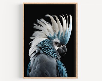 Lámina artística de cacatúa negra y azul, aves australianas, arte mural de aves, descarga digital, póster de vida silvestre, impresiones de aves, pósteres de aves